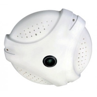 دوربین مداربسته چشم ماهی